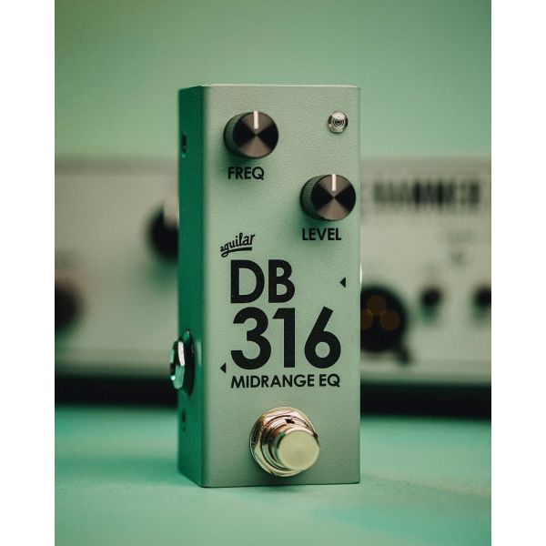 DB316