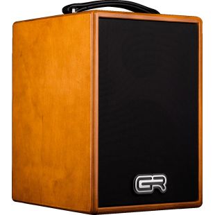Amplificadores para Guitarra Acústica