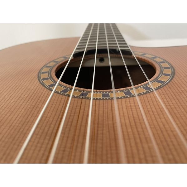 CROSSOVER CON FISHMAN PRESYS BLEND