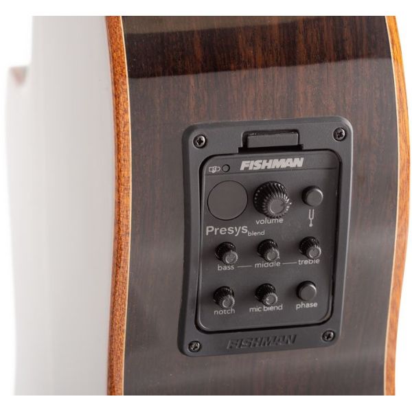 CROSSOVER CON FISHMAN PRESYS BLEND