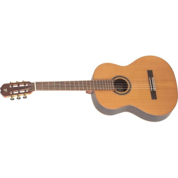 IRENE ZURDA CONSERVATORIO