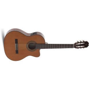 JUANITA ELECTRIFICADA EQ6 CON CUTAWAY ESTUDIO