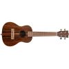 UKELELE CONCERT SP260CE EBONY ELECTRIFICADO