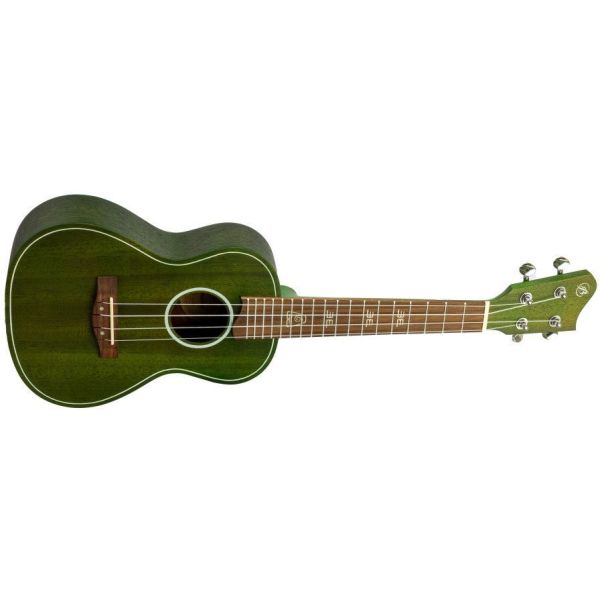 UKELELE SOPRANO B21-EA EARTH