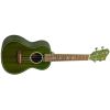 UKELELE SOPRANO B21-EA EARTH