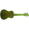 UKELELE SOPRANO B21-EA EARTH