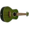 UKELELE SOPRANO B21-EA EARTH
