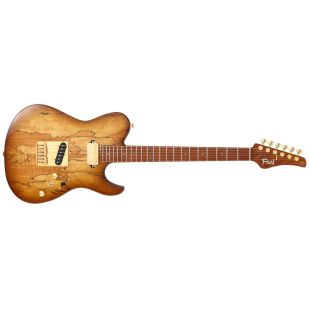 Guitarras Eléctricas