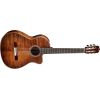 FUSION 12 CINNAMON BURST