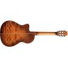 FUSION 12 CINNAMON BURST
