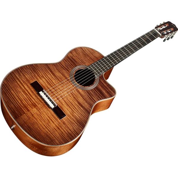 FUSION 12 CINNAMON BURST