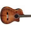 FUSION 12 CINNAMON BURST