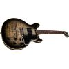 LES PAUL SPECIAL DOUBLE CUT FIGURED MAPLE TOP VOS COBRA BURST
