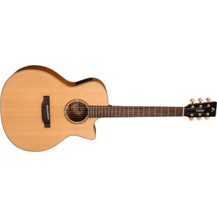 VIRTUOSO EL ACOUSTIC RORY EVANS MODEL