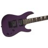 JS1X DK MINION AH FB PAVO PURPLE