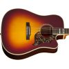 HUMMINGBIRD DELUXE EC AUTUMN BURST