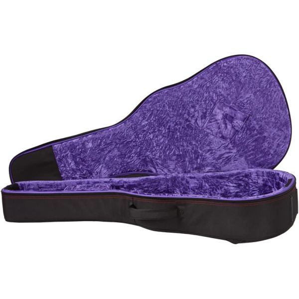 HUMMINGBIRD DELUXE EC AUTUMN BURST