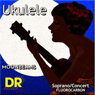 UFSC UKELELE SOPRANO-CONCERT