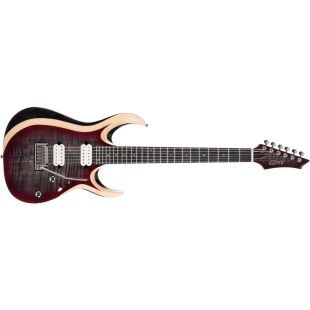 X700 DUALITY II LVB W-BAG