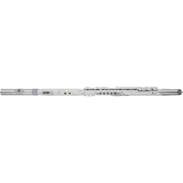 AEROPHONE AE-BRISA