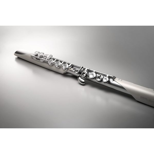 AEROPHONE AE-BRISA