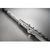 AEROPHONE AE-BRISA