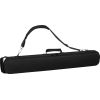 AEROPHONE AE-BRISA
