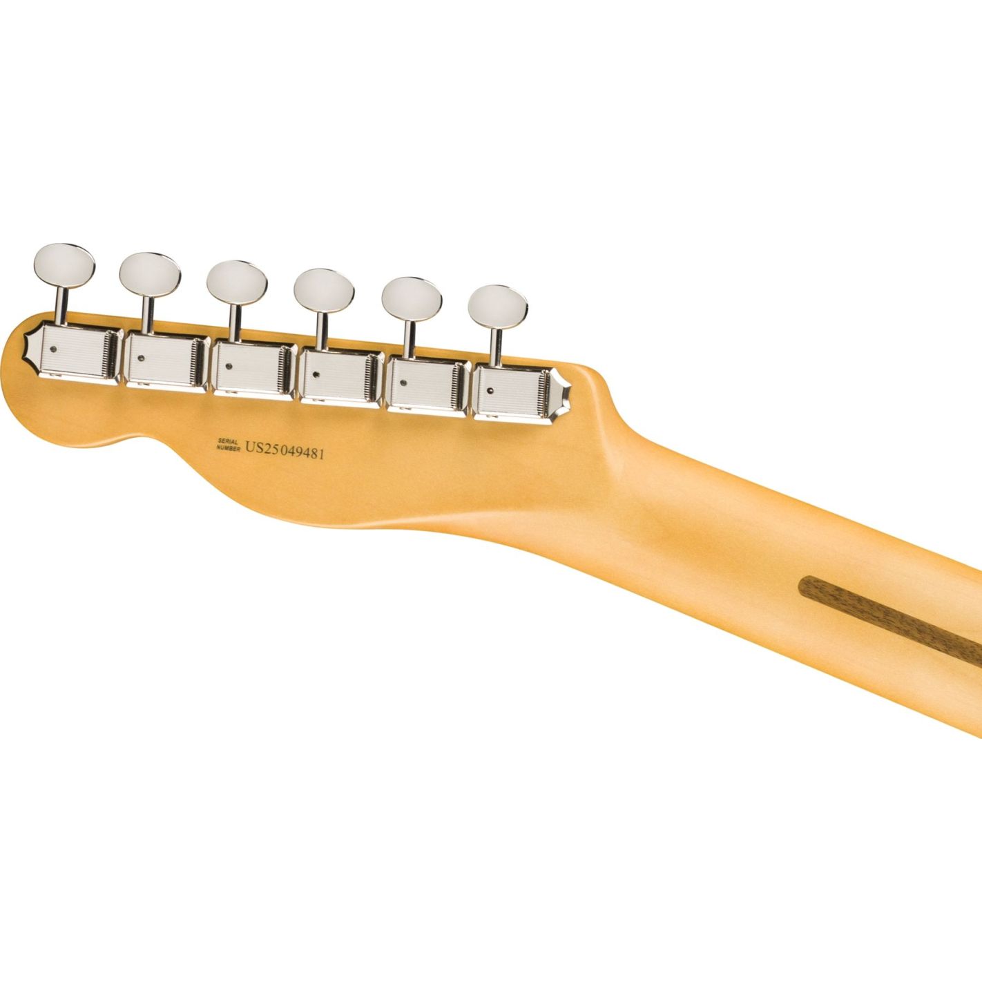 AM PRO CLASSIC TELECASTER SSS MN FLPB