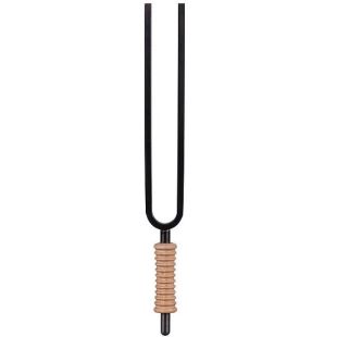 STF-YR EARTH PLATONIC YEAR