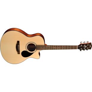 Guitarras Acústicas