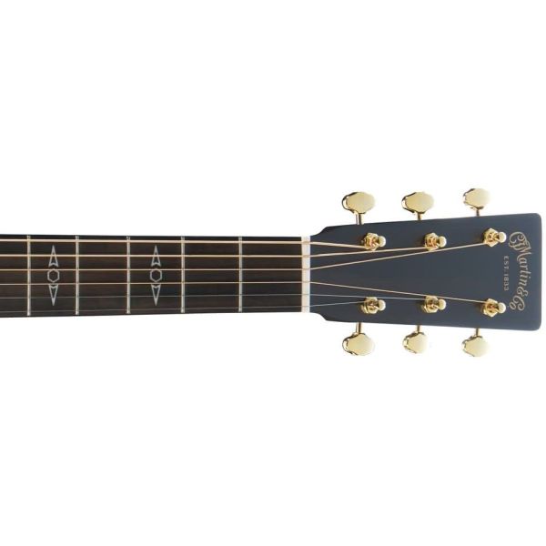 GPCE INCEPTION MAPLE