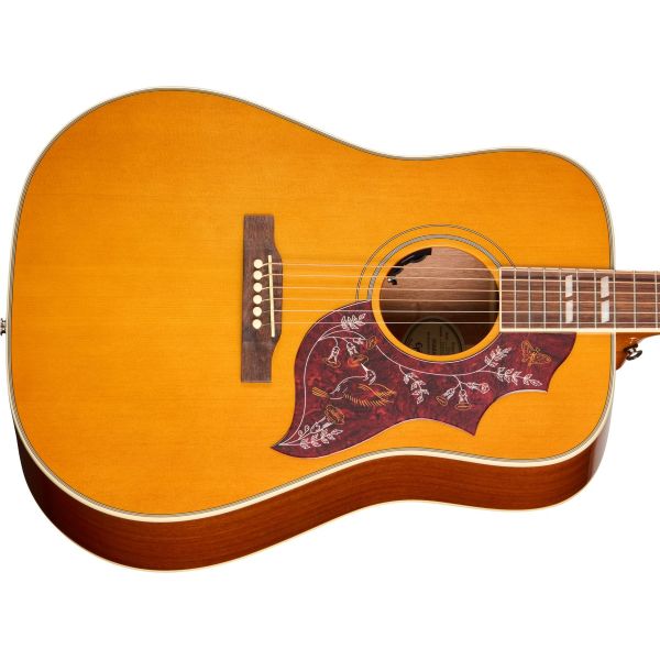 HUMMINGBIRD STUDIO NATURAL