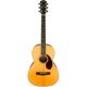 Guitarras Acústicas Folk