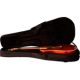 Bolsas y Estuches para Guitarra Acústica