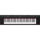 Pianos y Teclados