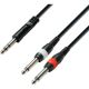 Cables de Insert en Y