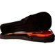 Estuches de Espuma para Transportar Guitarras Acústicas